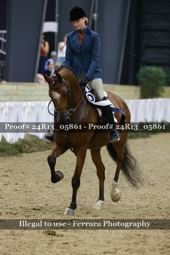 Proof 24R13_05861
