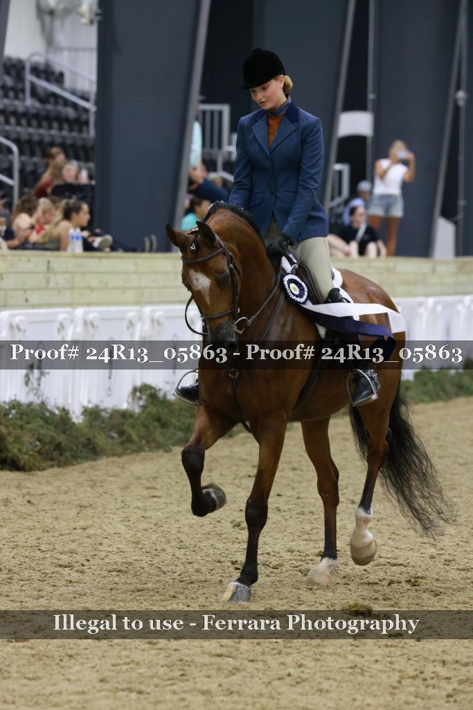 Proof 24R13_05863