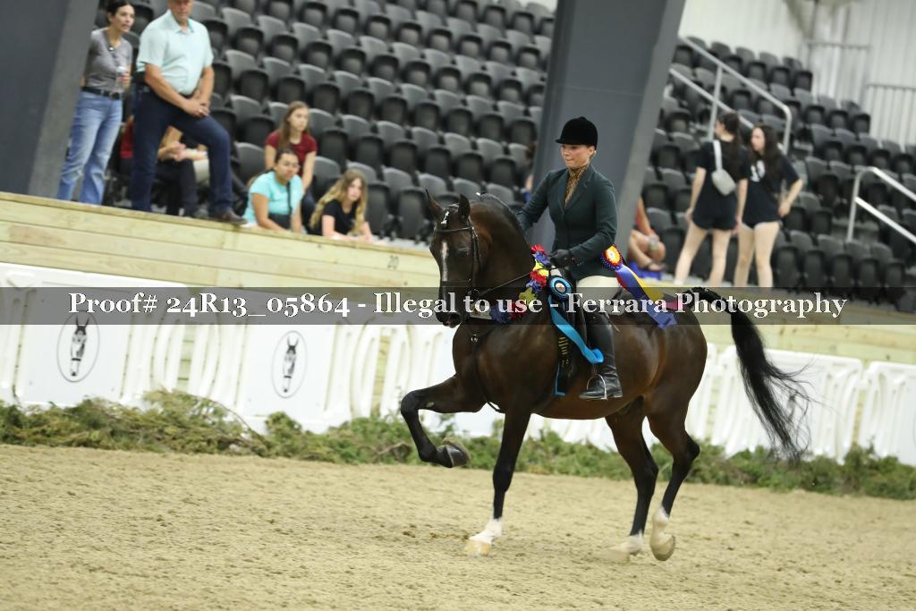 Proof 24R13_05864
