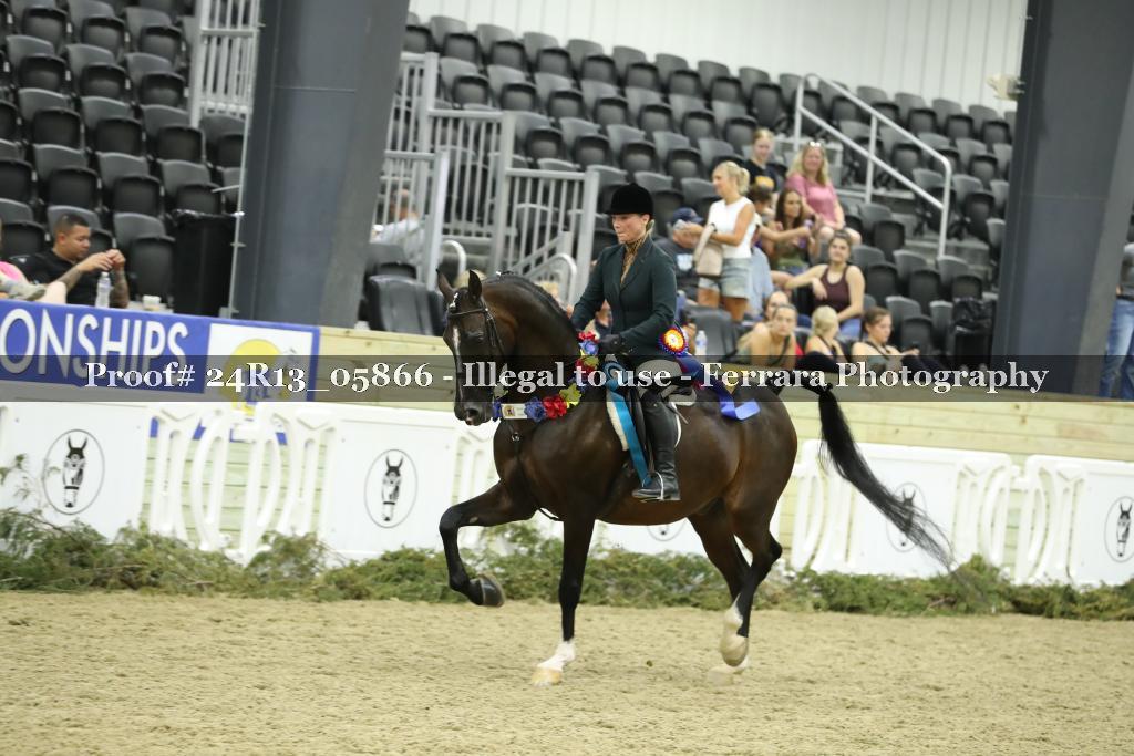 Proof 24R13_05866