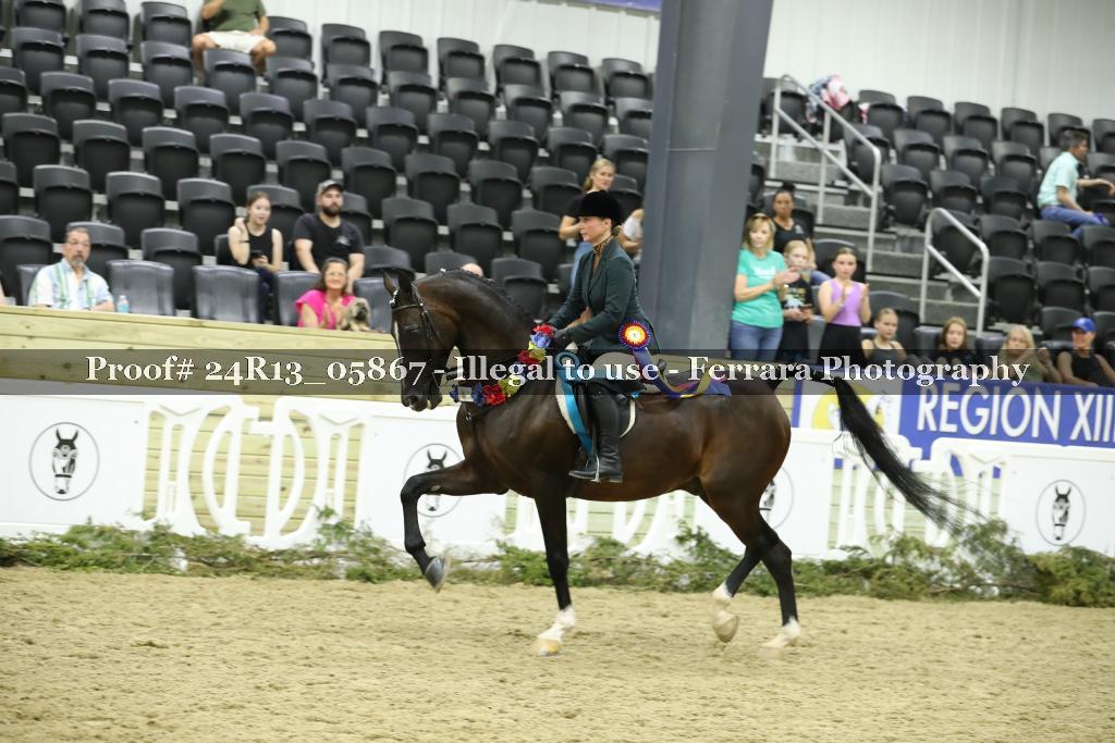 Proof 24R13_05867