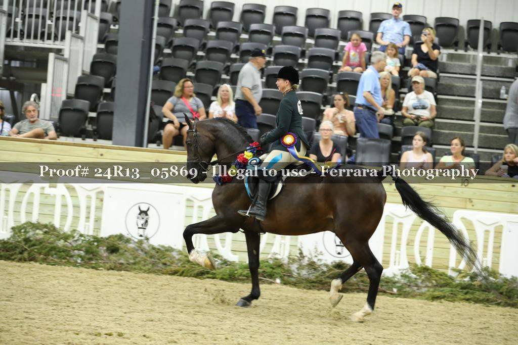 Proof 24R13_05869