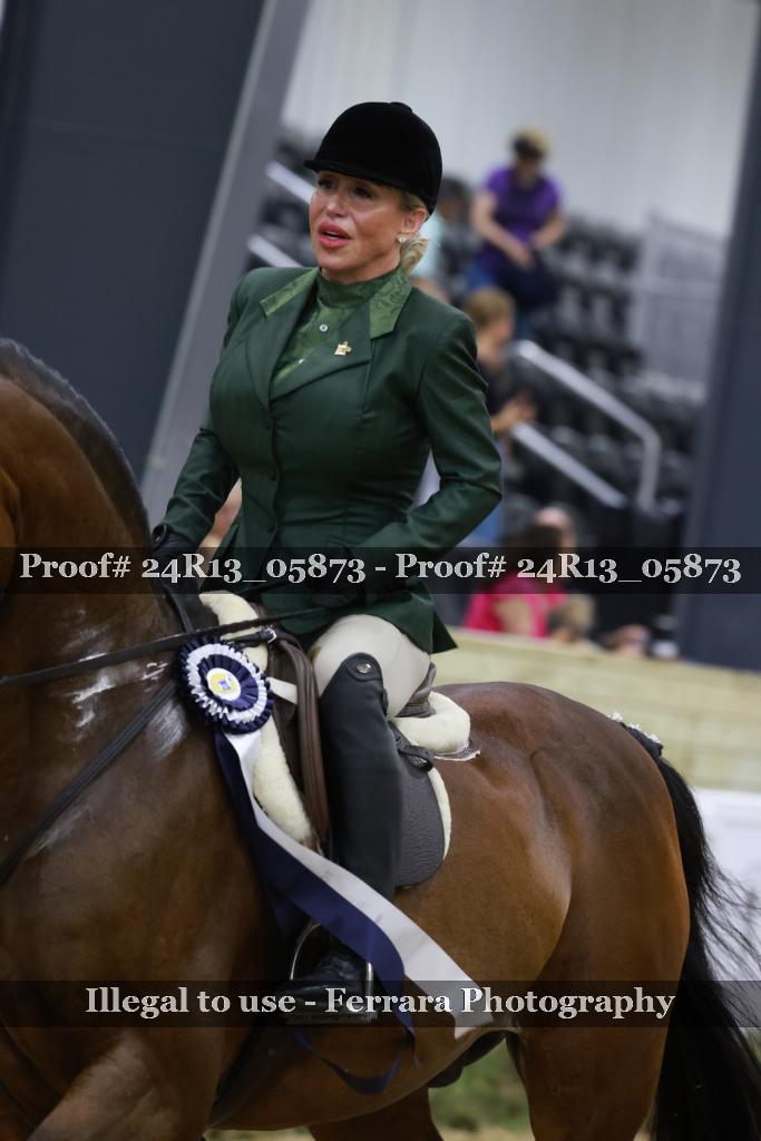 Proof 24R13_05873