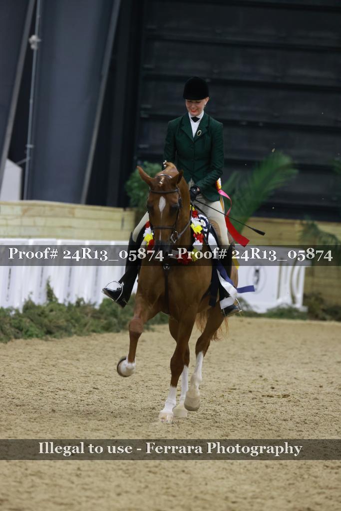 Proof 24R13_05874