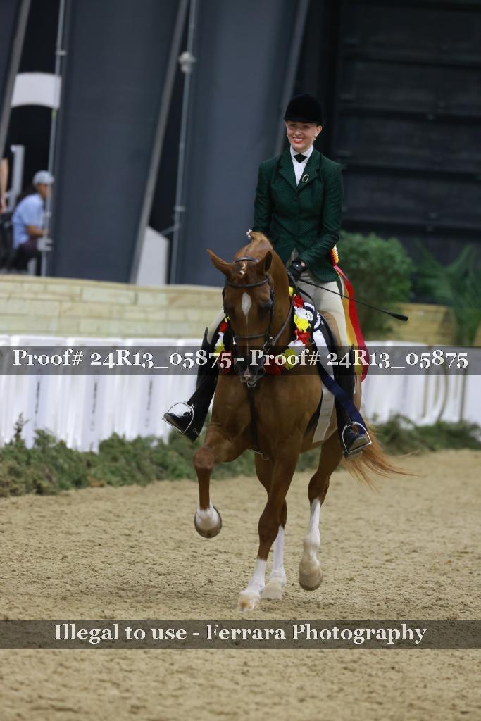 Proof 24R13_05875