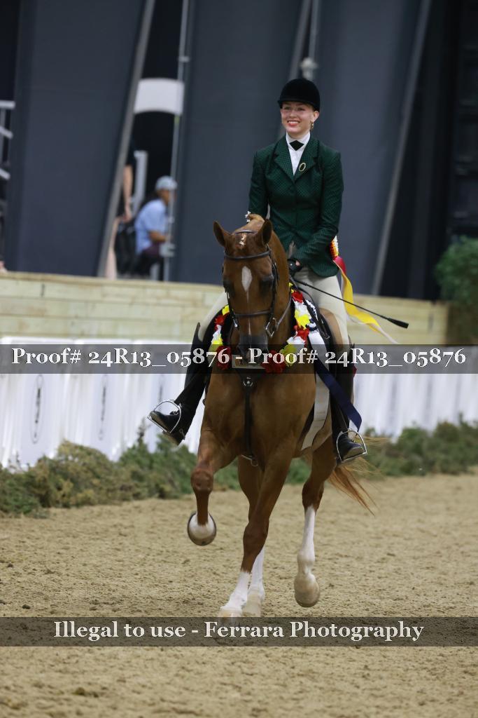 Proof 24R13_05876