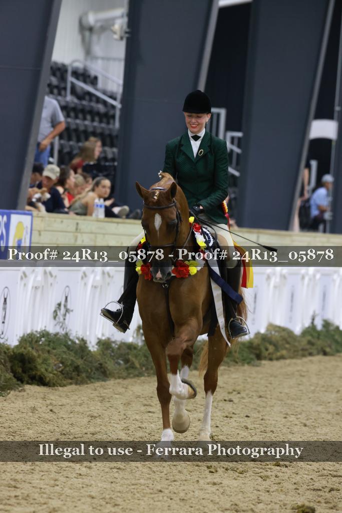 Proof 24R13_05878