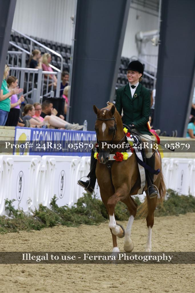 Proof 24R13_05879