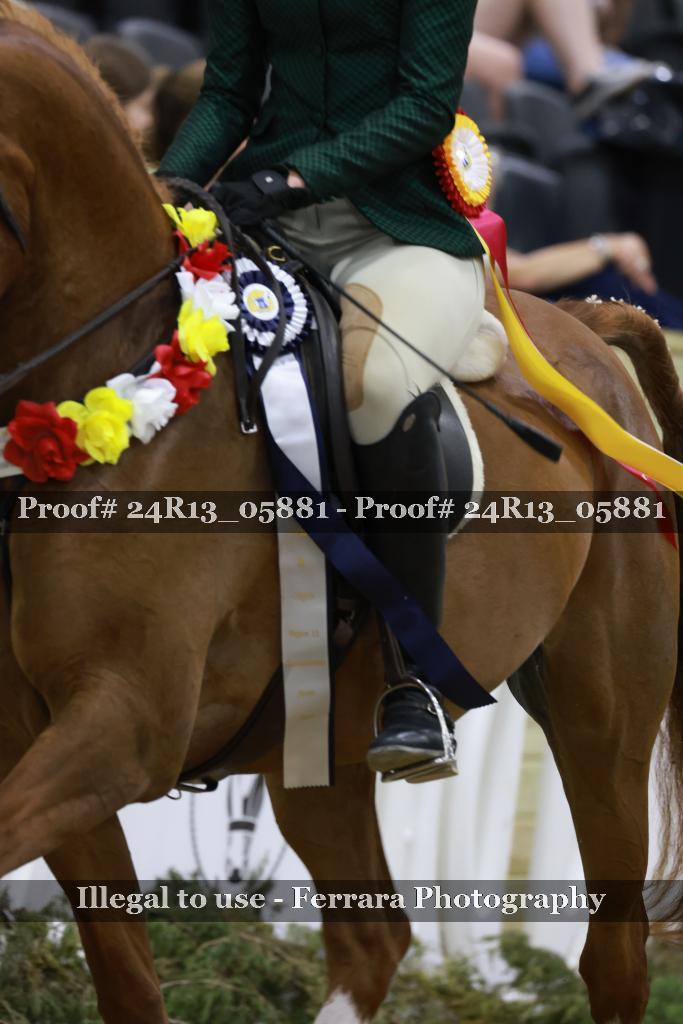 Proof 24R13_05881
