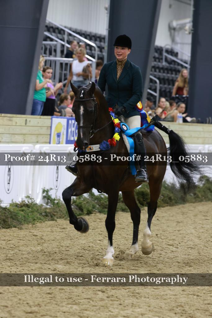 Proof 24R13_05883