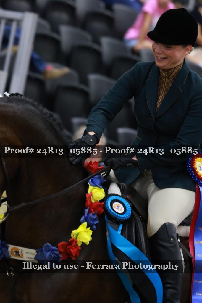Proof 24R13_05885