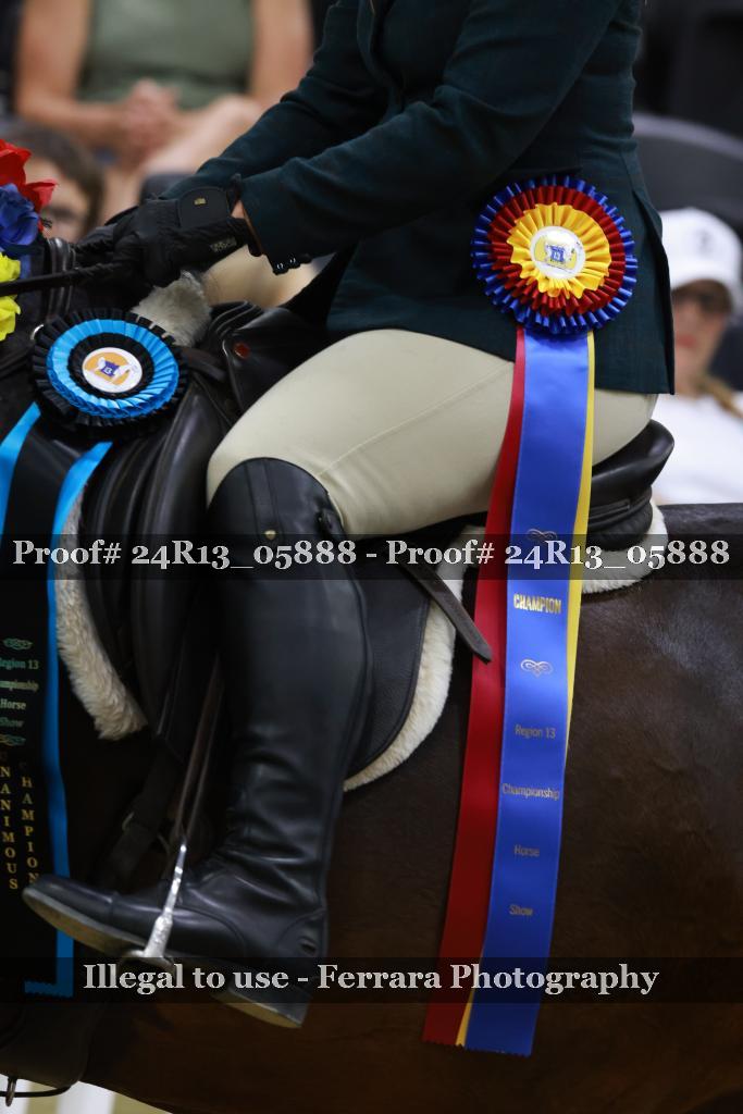 Proof 24R13_05888