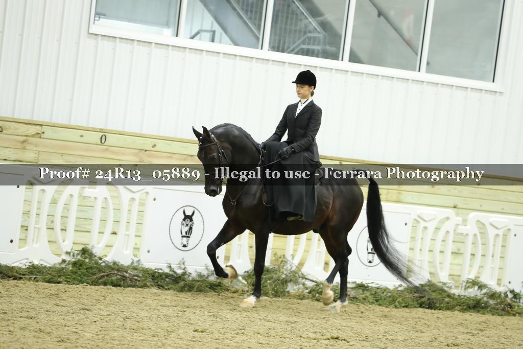 Proof 24R13_05889