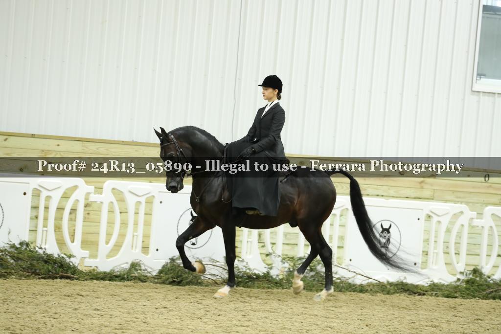 Proof 24R13_05890