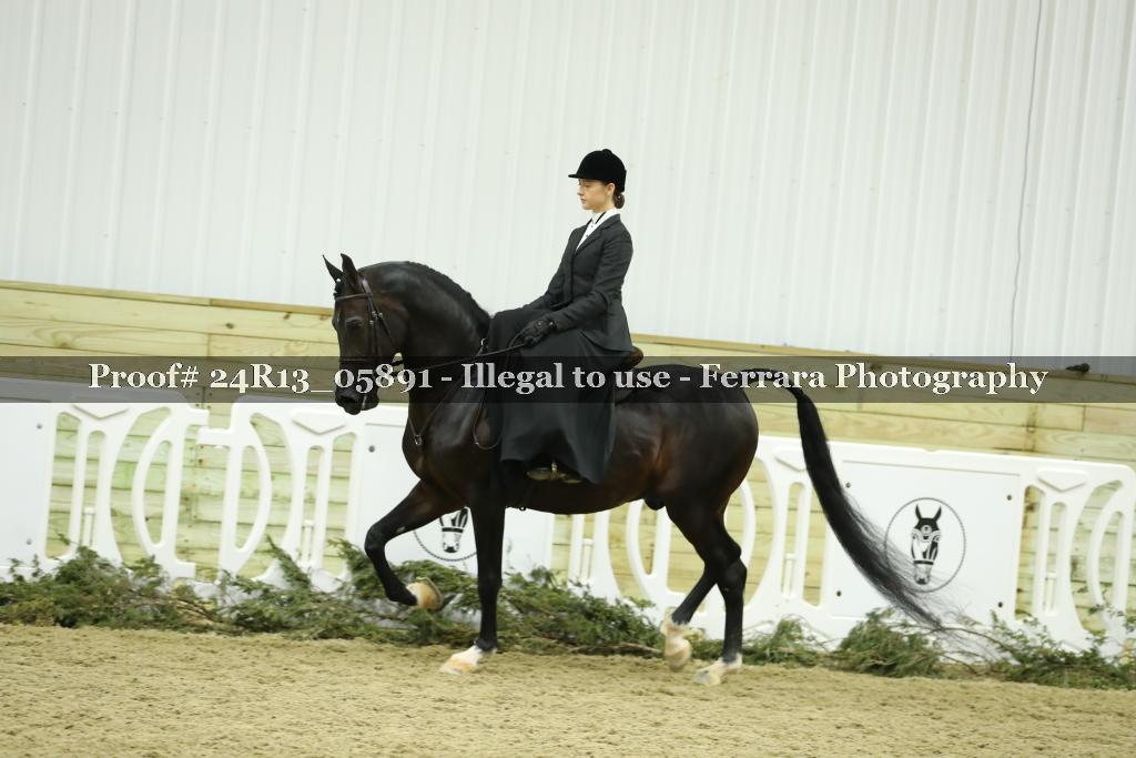 Proof 24R13_05891