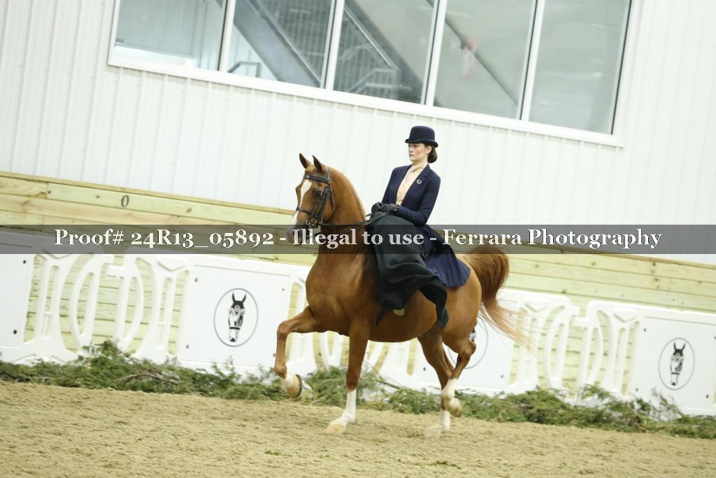 Proof 24R13_05892