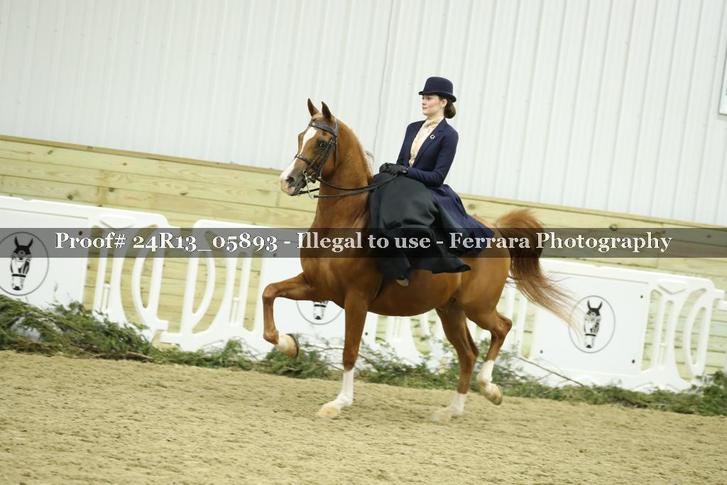 Proof 24R13_05893