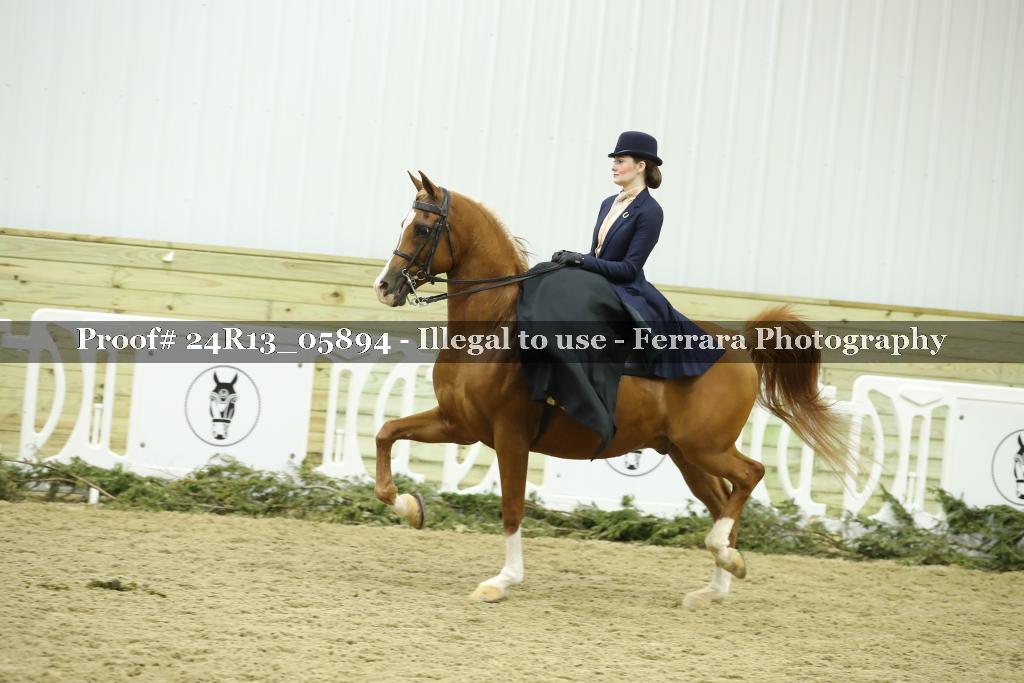 Proof 24R13_05894