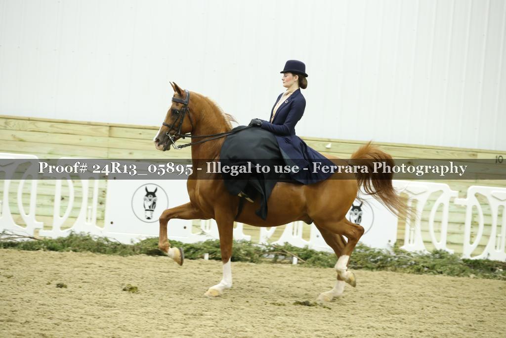 Proof 24R13_05895