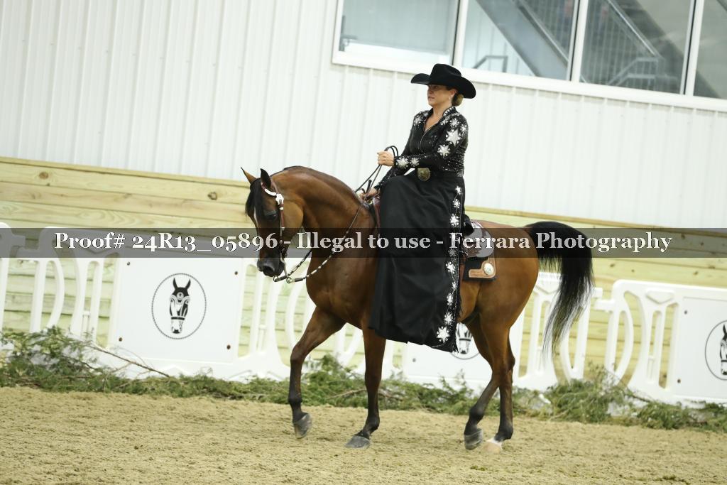 Proof 24R13_05896
