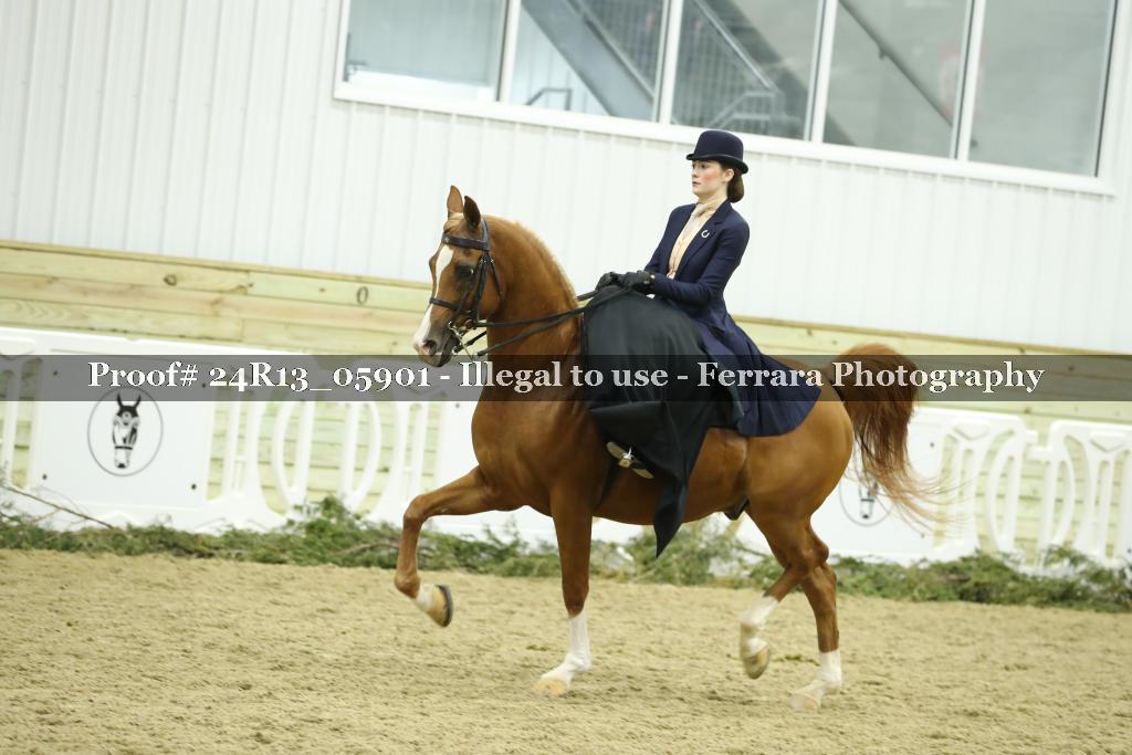 Proof 24R13_05901