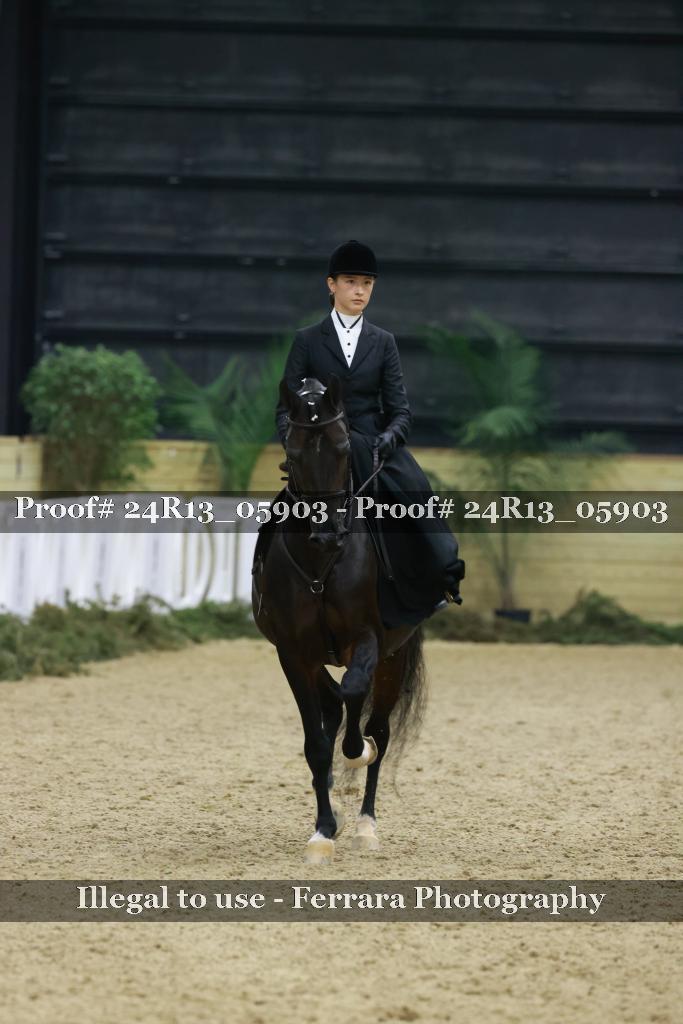 Proof 24R13_05903