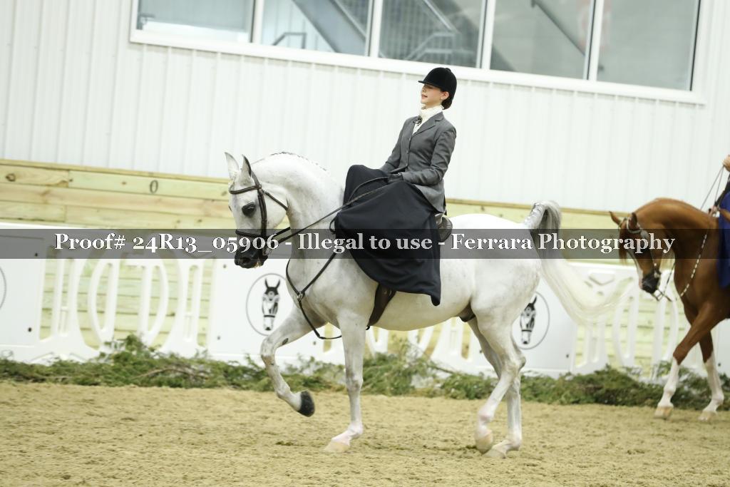Proof 24R13_05906