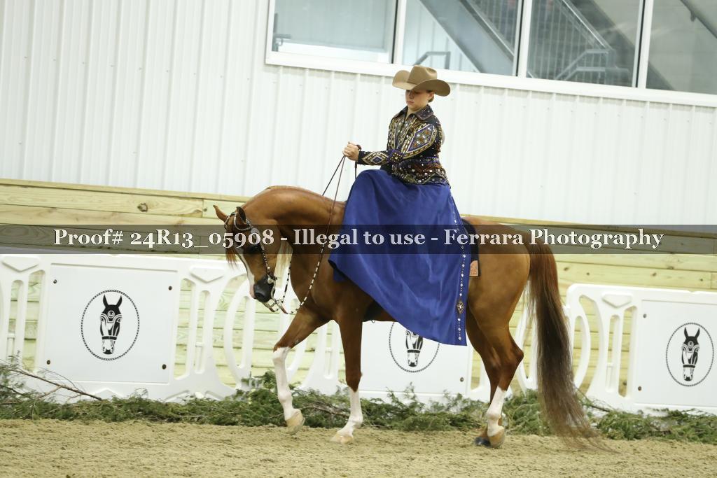 Proof 24R13_05908