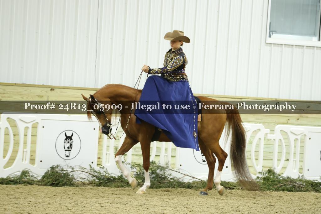 Proof 24R13_05909