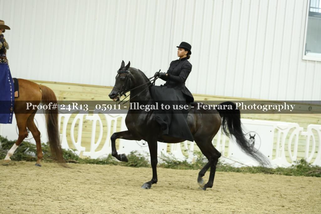Proof 24R13_05911
