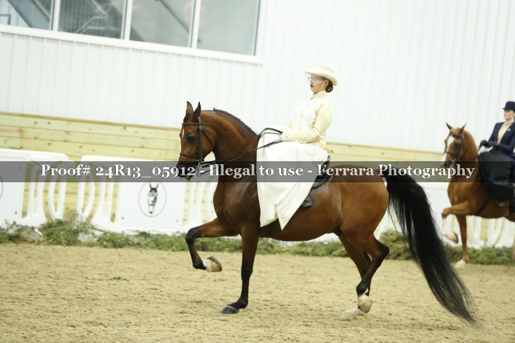 Proof 24R13_05912