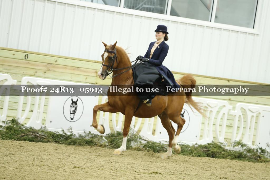 Proof 24R13_05913