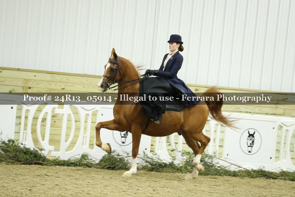 Proof 24R13_05914