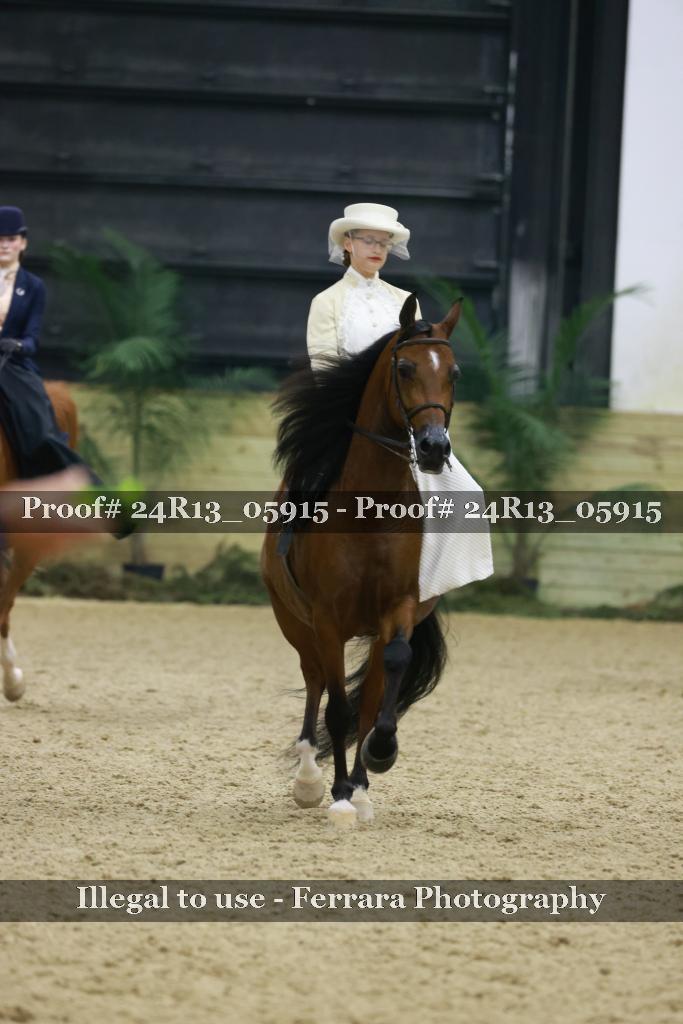 Proof 24R13_05915