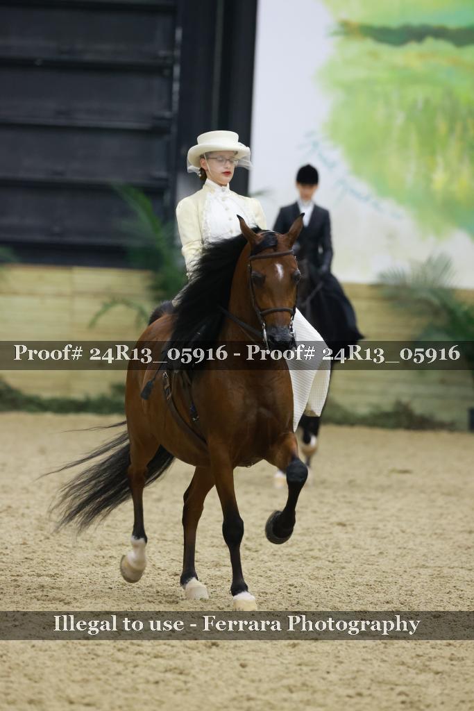 Proof 24R13_05916