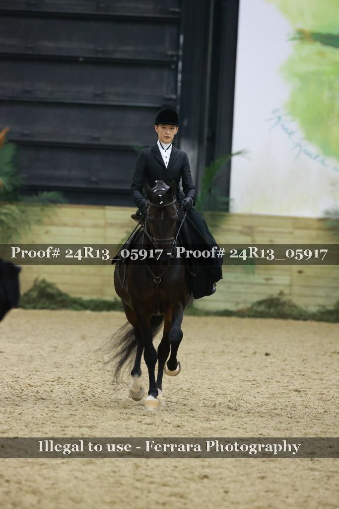 Proof 24R13_05917