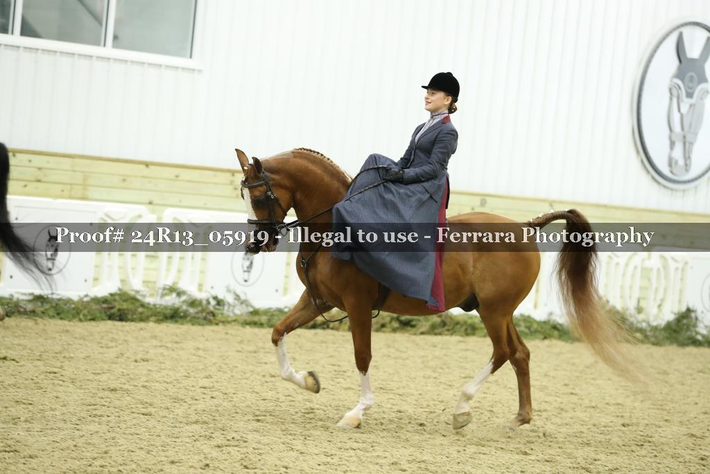 Proof 24R13_05919
