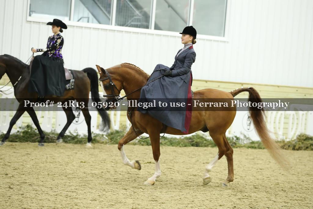 Proof 24R13_05920