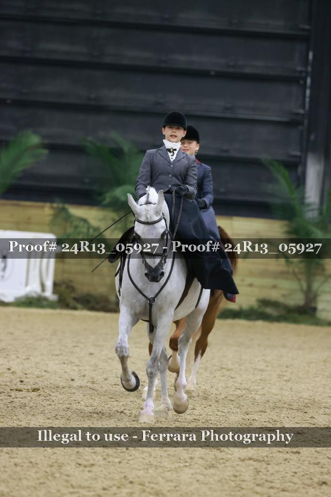 Proof 24R13_05927