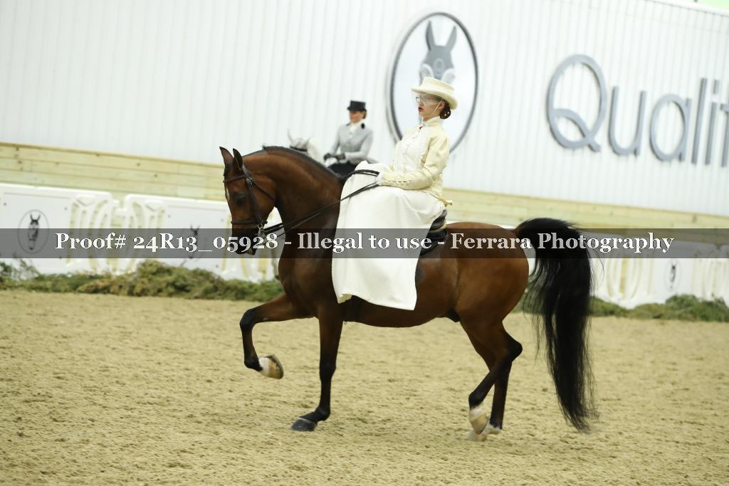 Proof 24R13_05928
