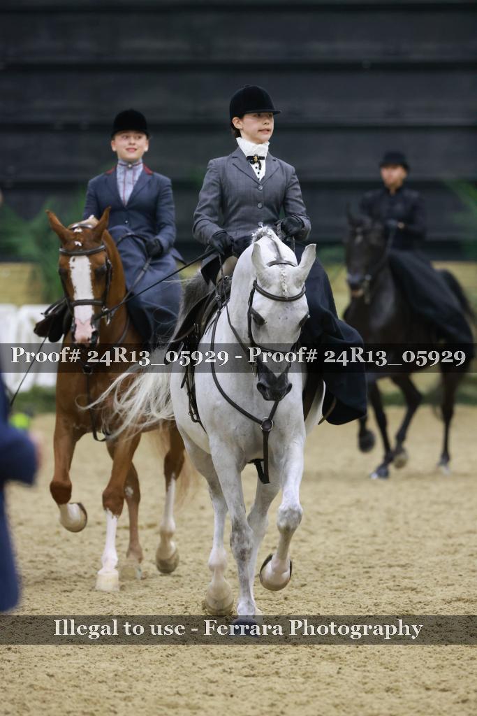 Proof 24R13_05929