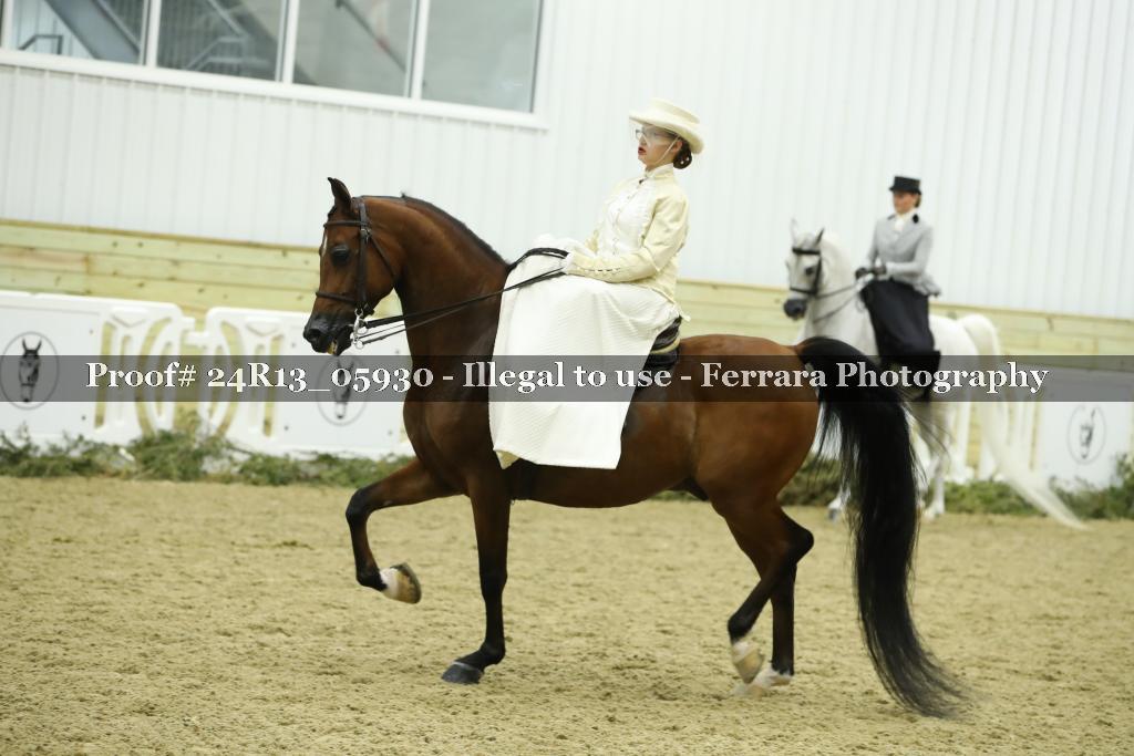 Proof 24R13_05930