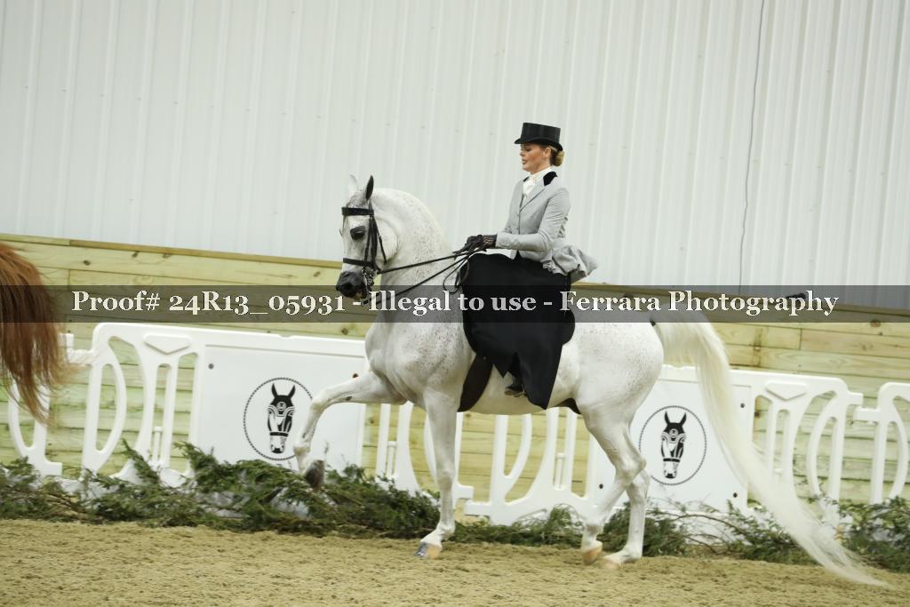 Proof 24R13_05931