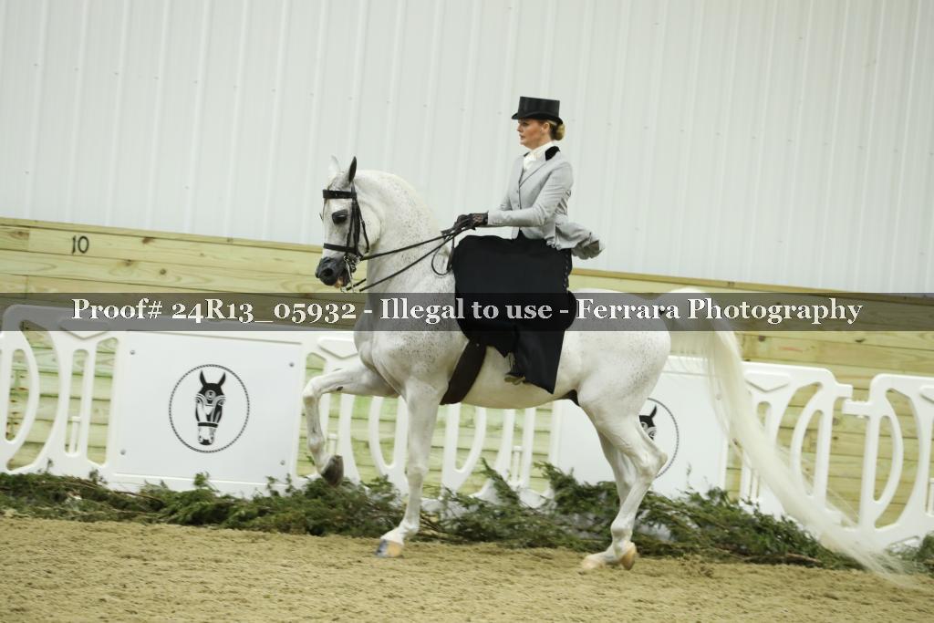 Proof 24R13_05932