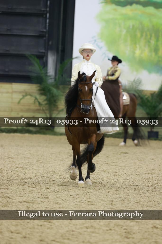 Proof 24R13_05933