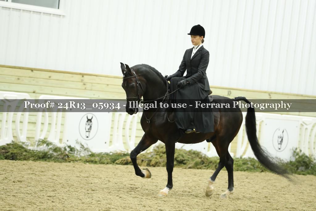 Proof 24R13_05934