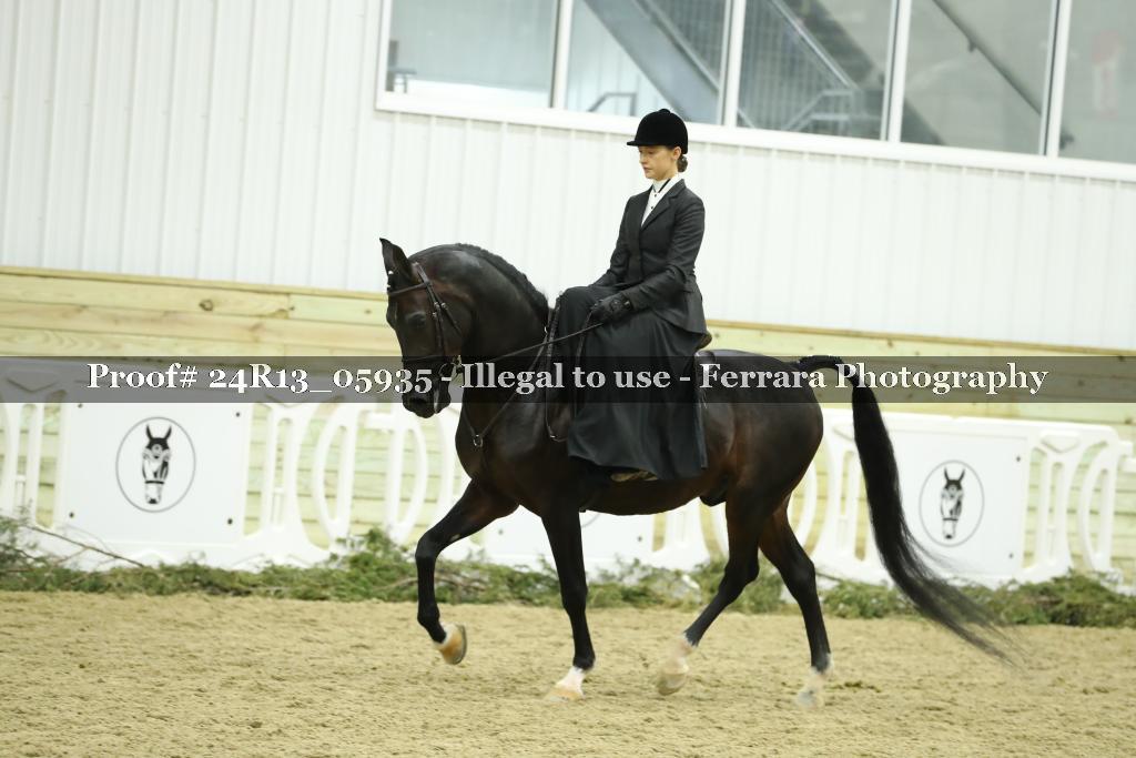 Proof 24R13_05935