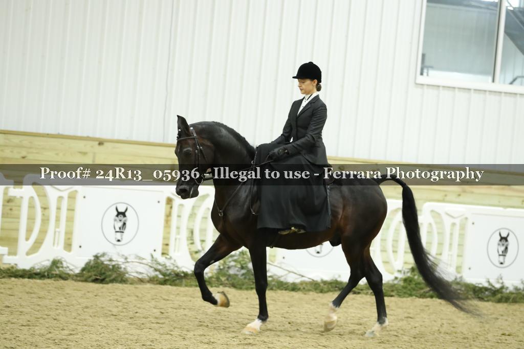 Proof 24R13_05936