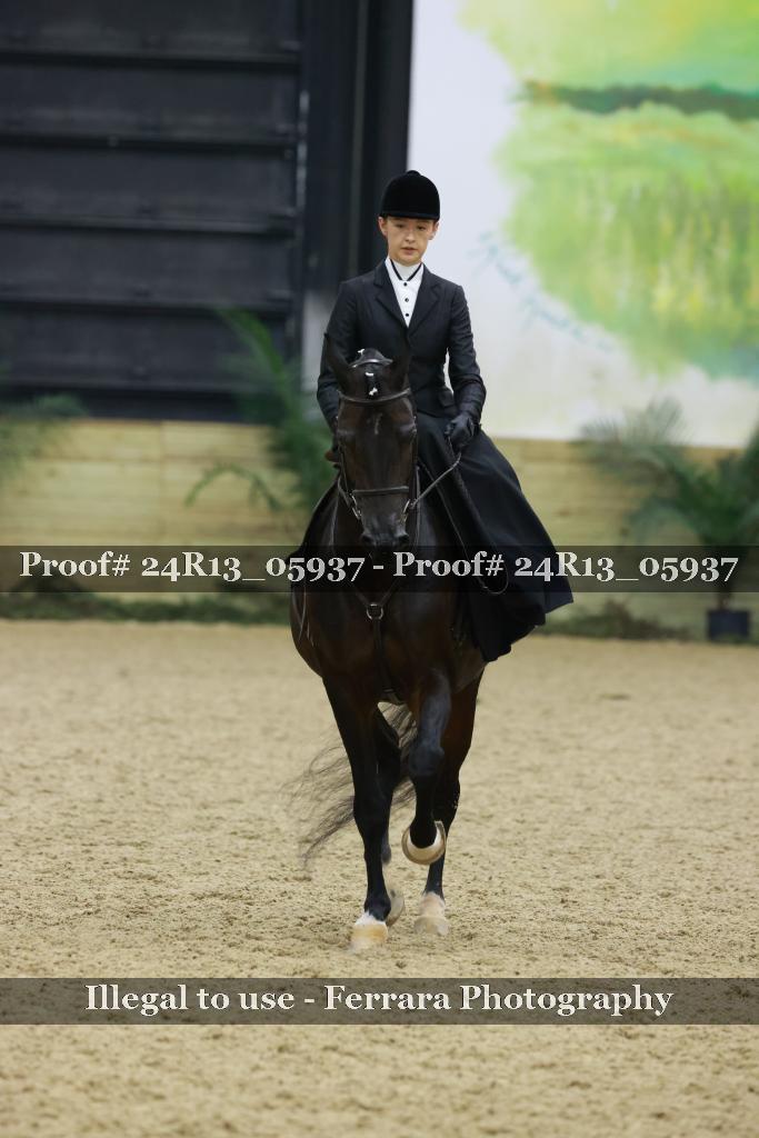 Proof 24R13_05937