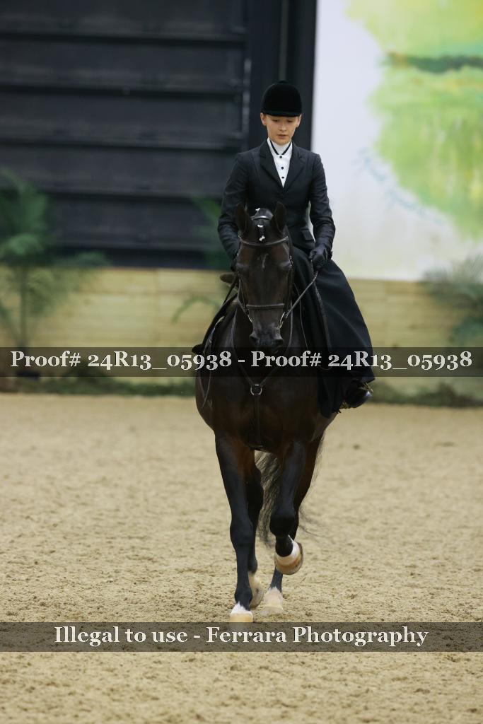 Proof 24R13_05938